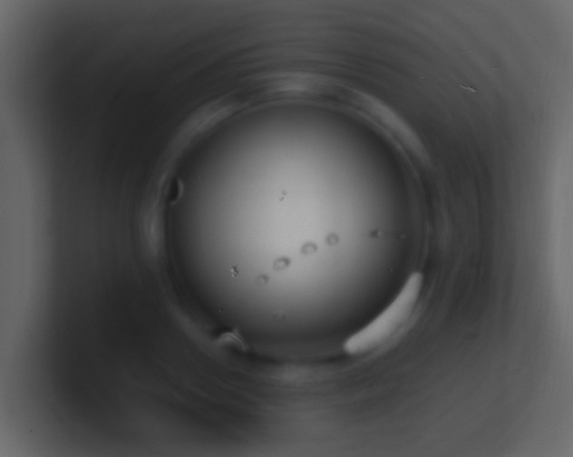 X0000101480938200807071501