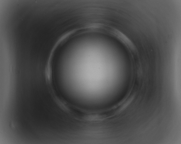 X0000101480940200807071501