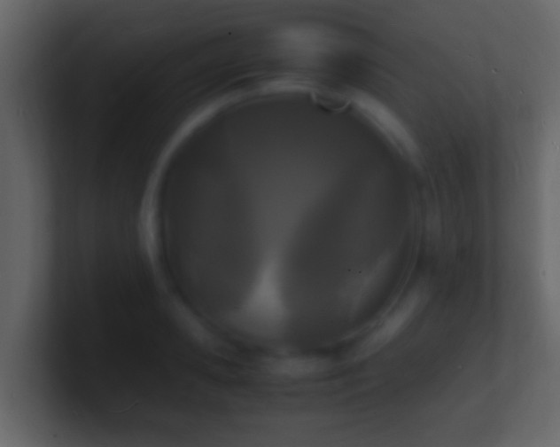 X0000101480941200807071501