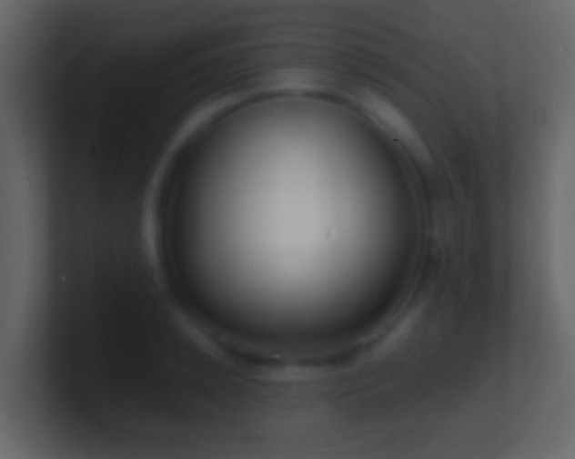 X0000101480942200807071501