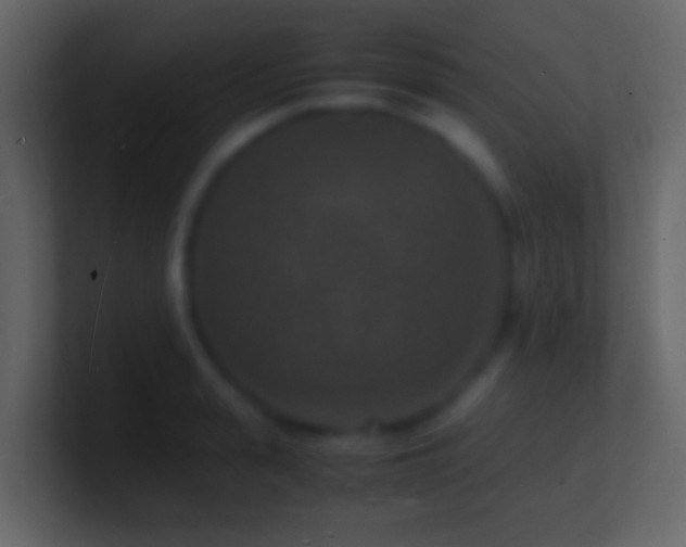 X0000101480943200807071501