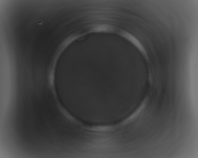 X0000101480946200807071501