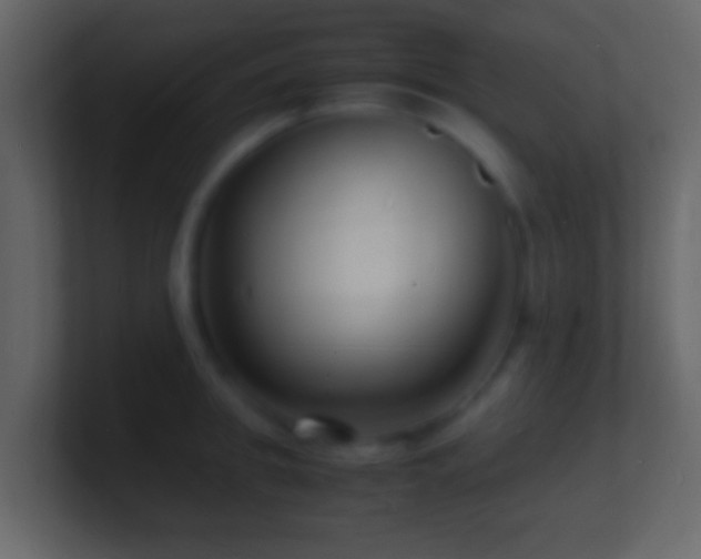 X0000101480949200807071501