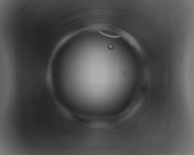 X0000101480952200807071501