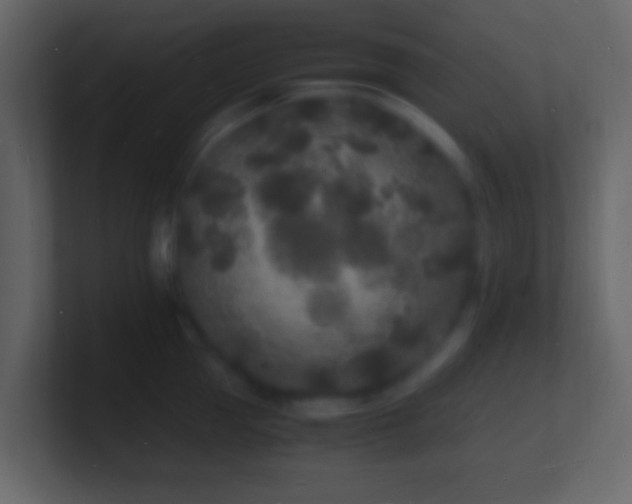 X0000101480953200807071501
