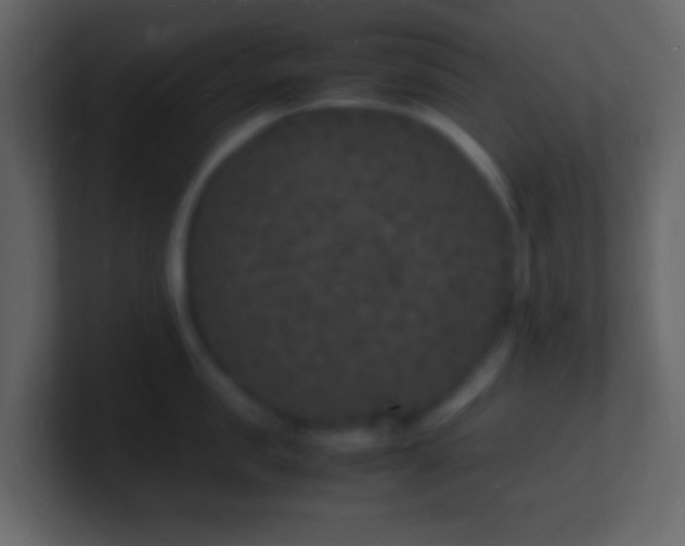 X0000101480957200807071501