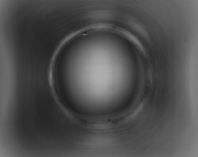 X0000101480959200807071501