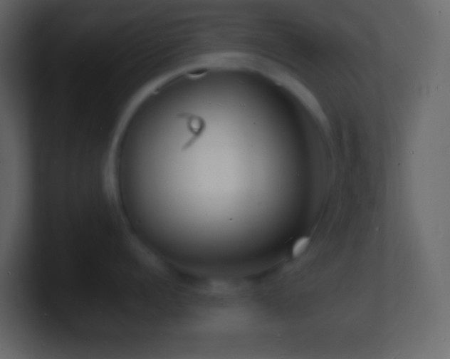 X0000101480960200807071501