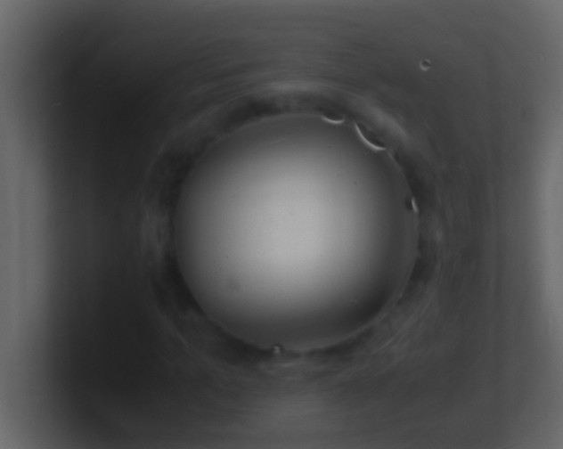 X0000101480965200807071500
