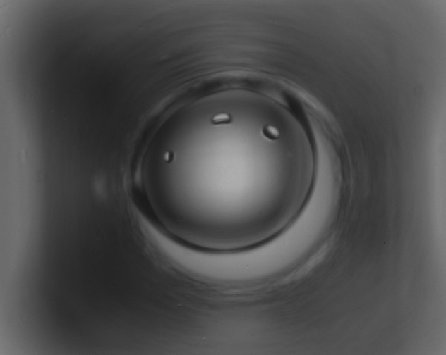 X0000101480969200807071500
