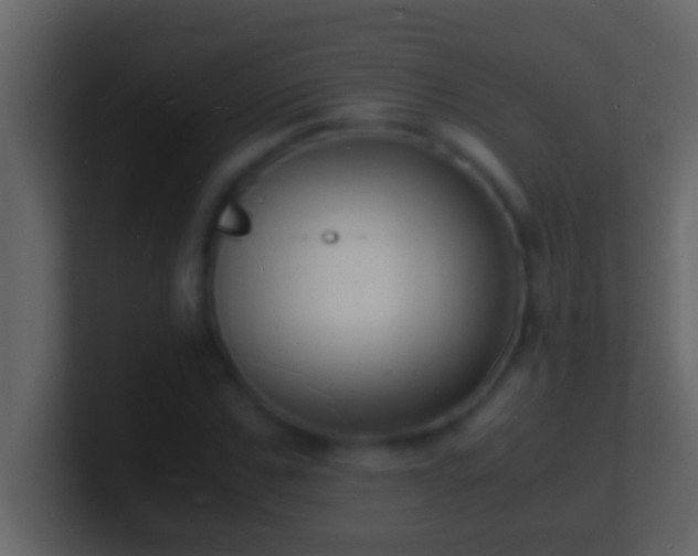 X0000101480971200807071500
