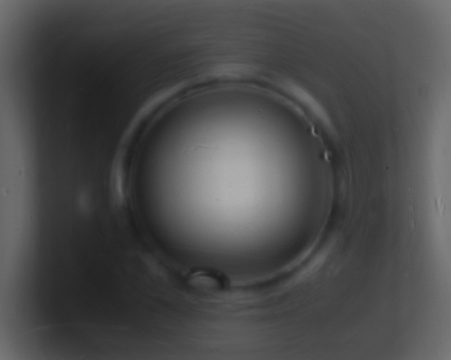X0000101480973200807071500