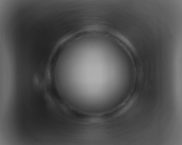 X0000101480974200807071500