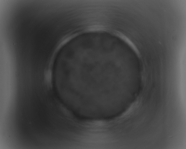 X0000101480975200807071500