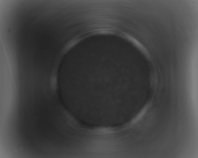 X0000101480977200807071500