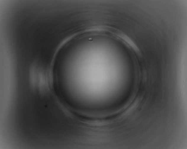 X0000101480980200807071500