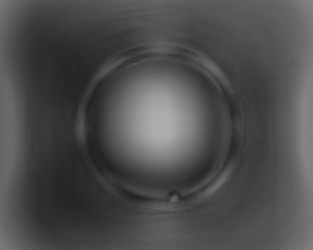 X0000101480981200807071500