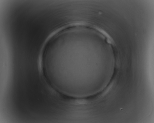 X0000101480983200807071500