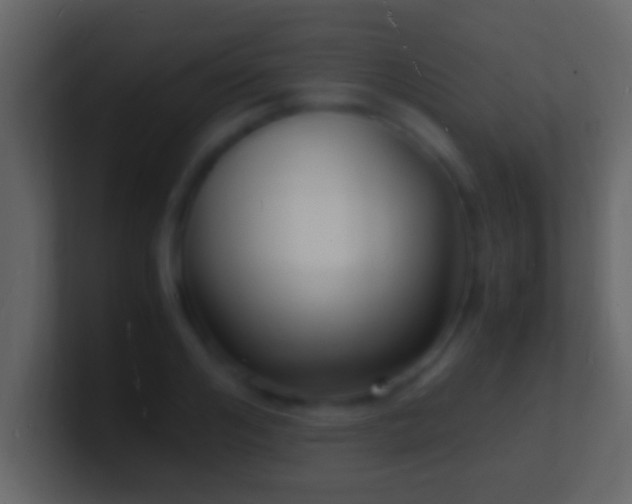 X0000101480984200807071500