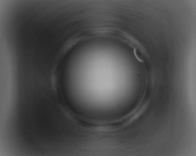 X0000101480985200807071500