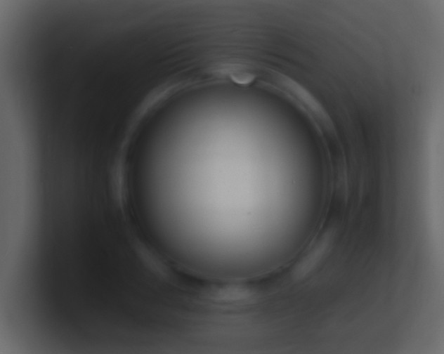 X0000101480986200807071500