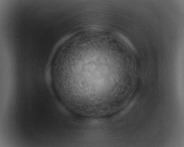 X0000101480987200807071500