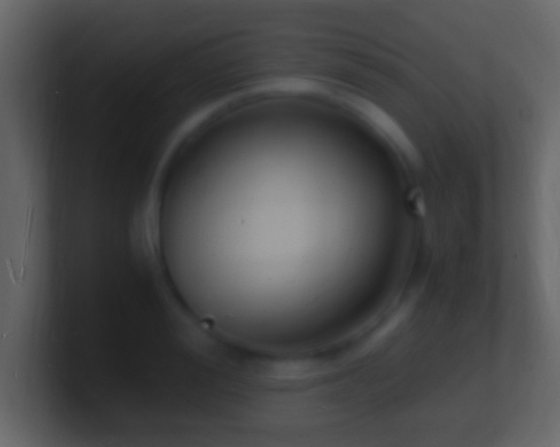 X0000101480988200807071500