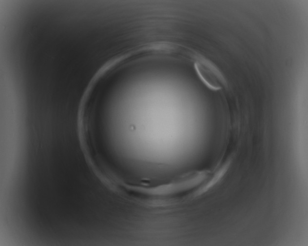 X0000101480989200807071500