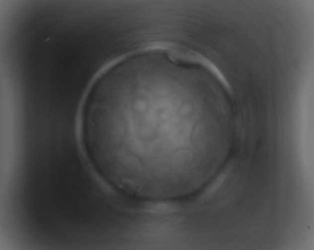 X0000101480991200807071500