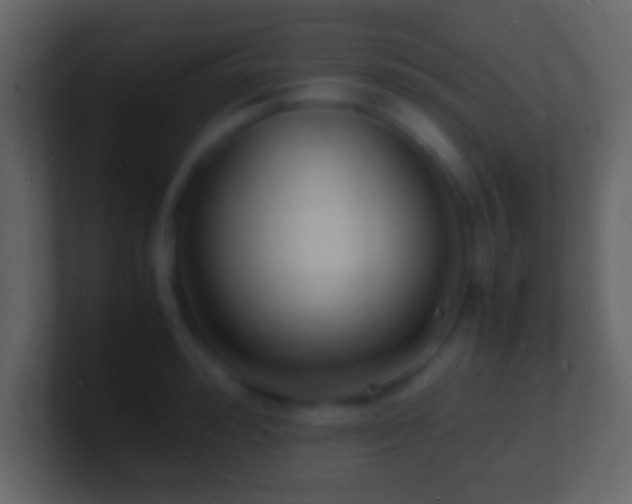 X0000101480992200807071500