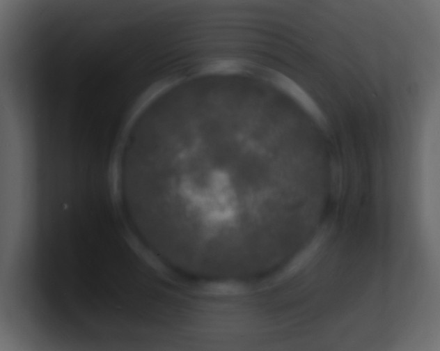 X0000101480994200807071500