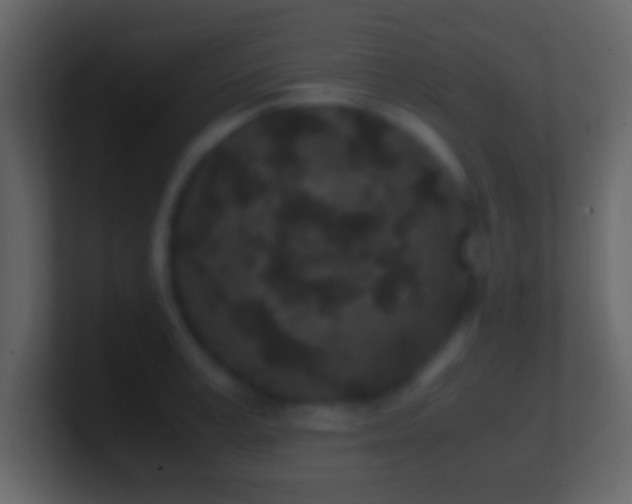 X0000101480995200807071500