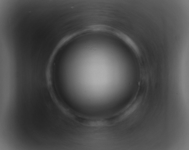 X0000101480997200807071500