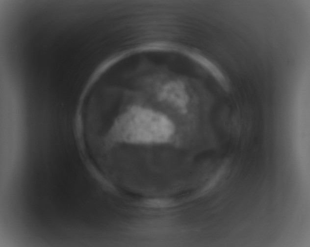X0000101480998200807071500