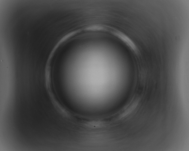 X0000101481000200807071500
