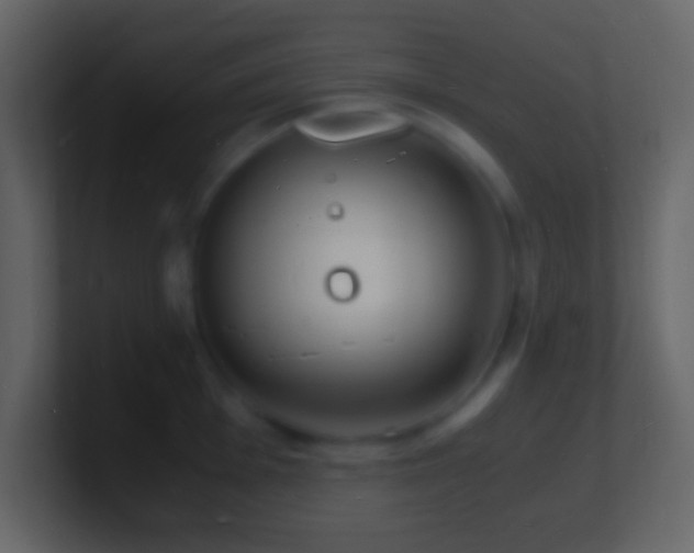 X0000101481001200807071500