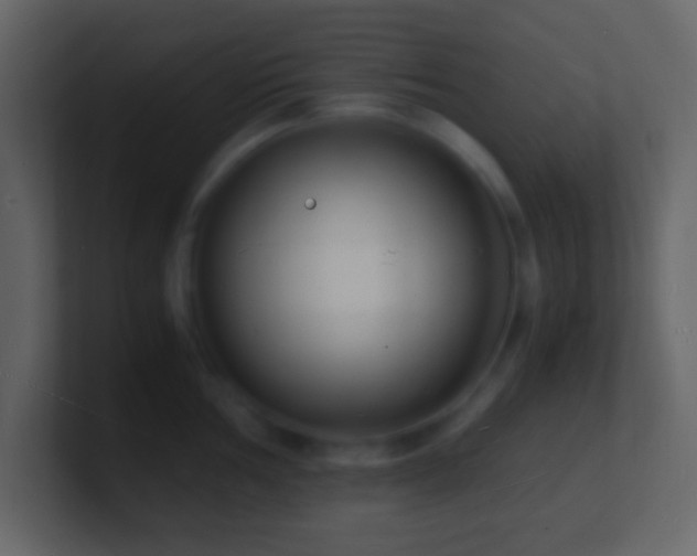 X0000101481002200807071500