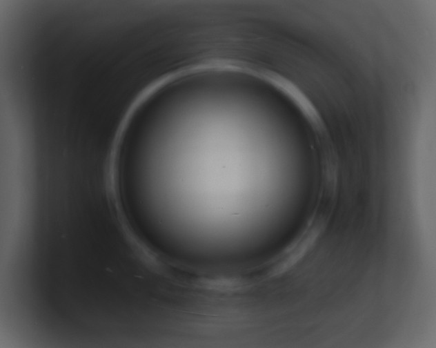X0000101481004200807071500