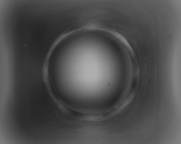 X0000101481005200807071500
