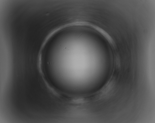 X0000101481006200807071500
