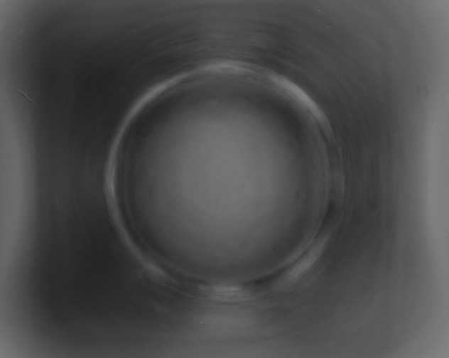 X0000101481007200807071500