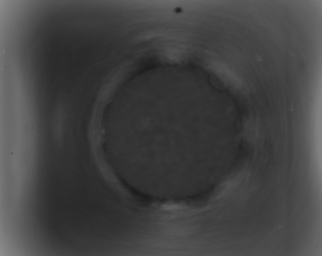 X0000101481009200807071459