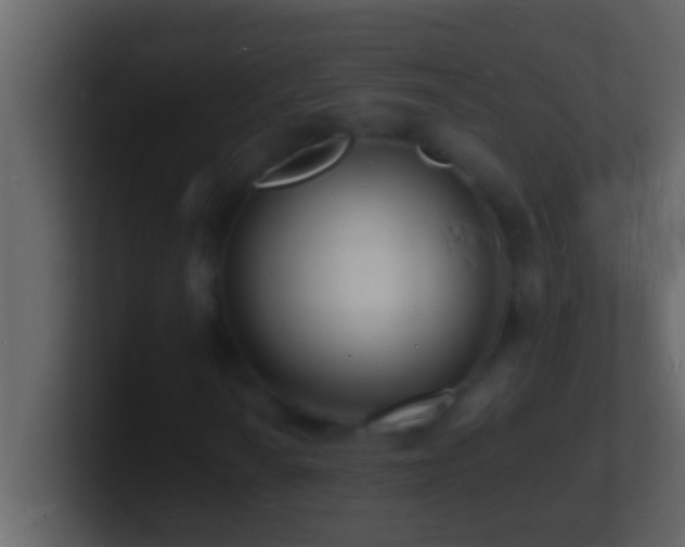 X0000101481010200807071459
