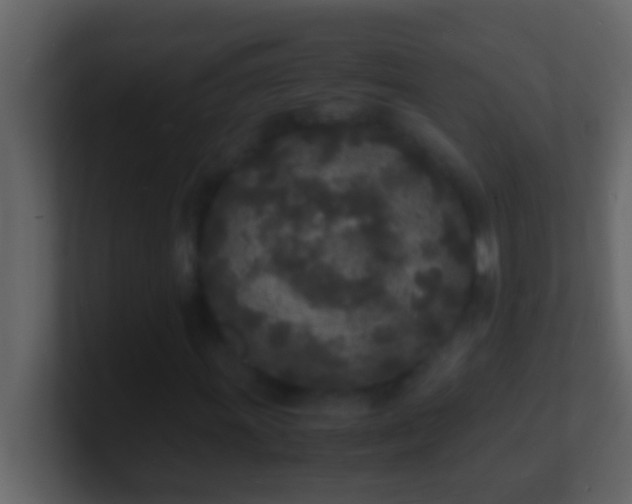 X0000101481011200807071459