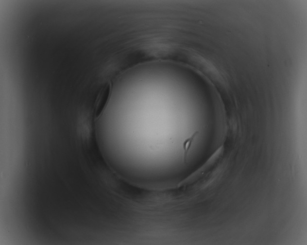 X0000101481012200807071459