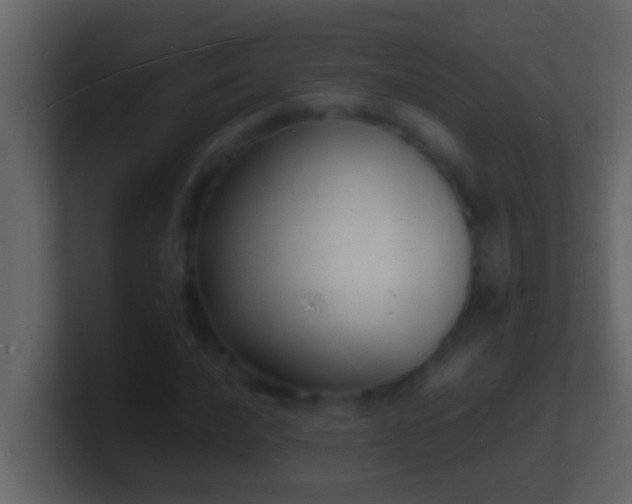 X0000101481016200807071459