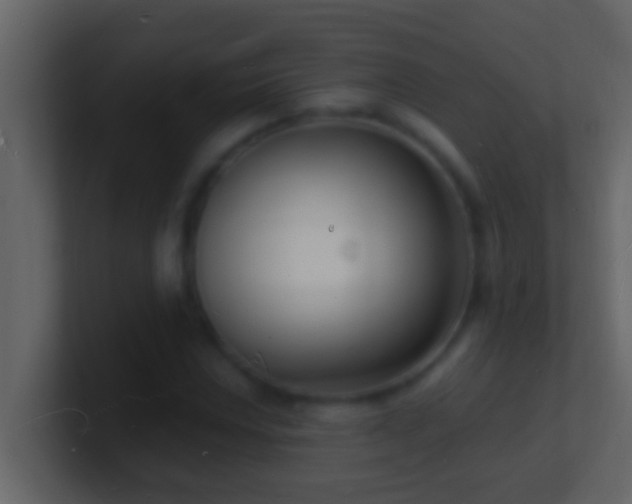 X0000101481018200807071459