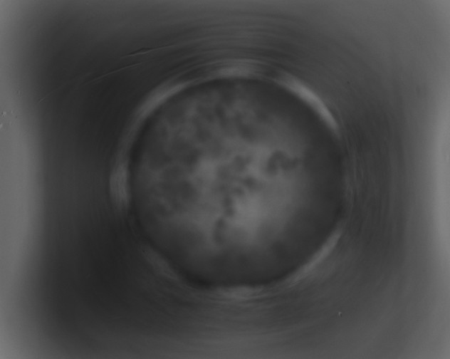 X0000101481019200807071459