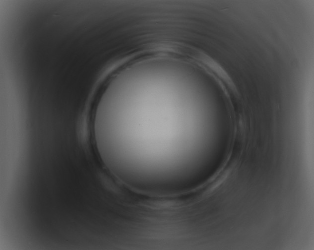 X0000101481020200807071459