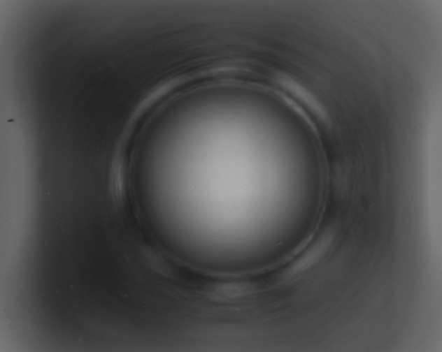 X0000101481021200807071459